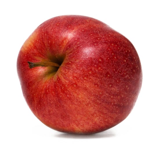 Suchmaschinenoptimierung mit Frucht N aus München Suchmaschinenoptimierung mit Frucht N aus München